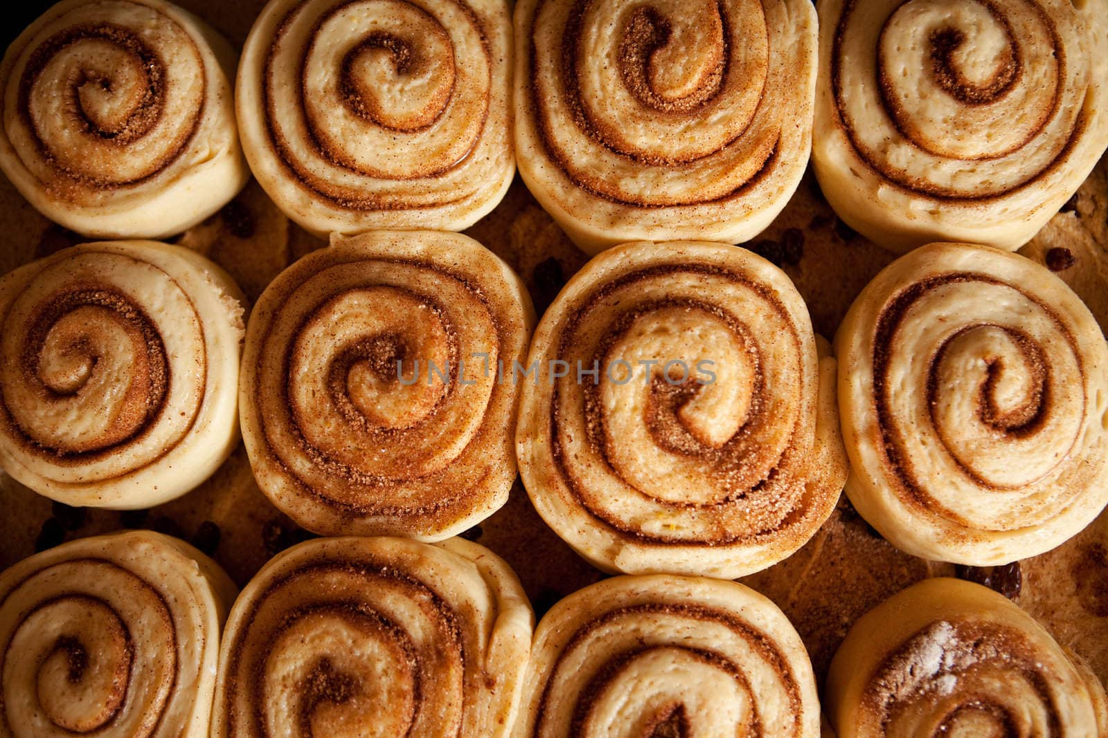 A pan of uncooked cinnamon buns ready for the oven