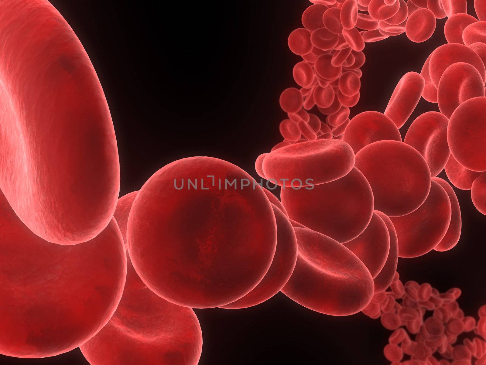 3d rendered illustration of many streaming red blood cells