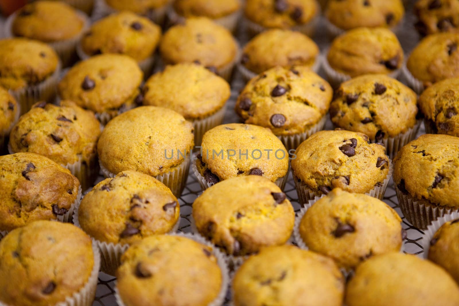 Freshly baked chocolate chip pumpkin muffins