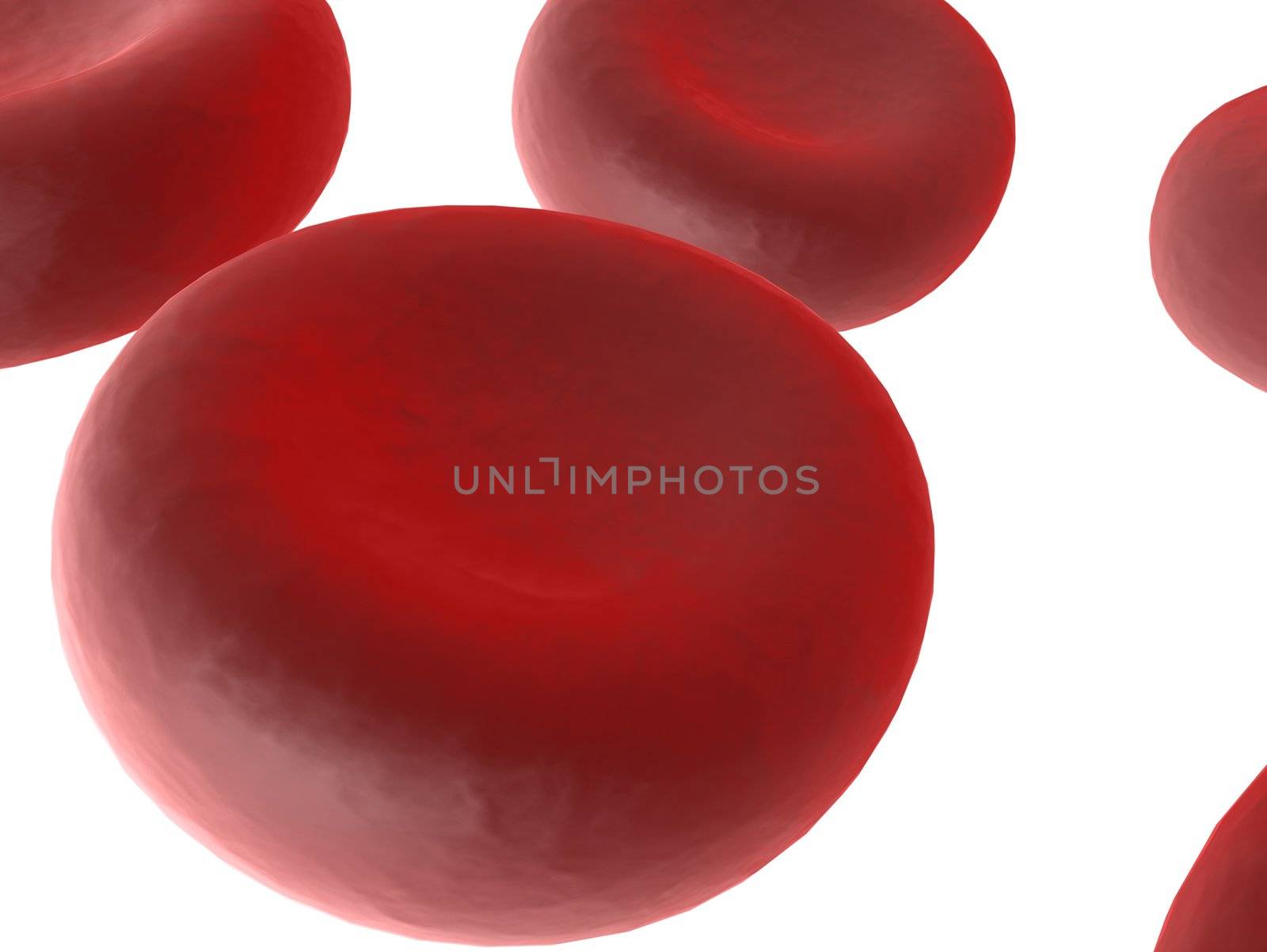 close up of red blood cells by Eraxion