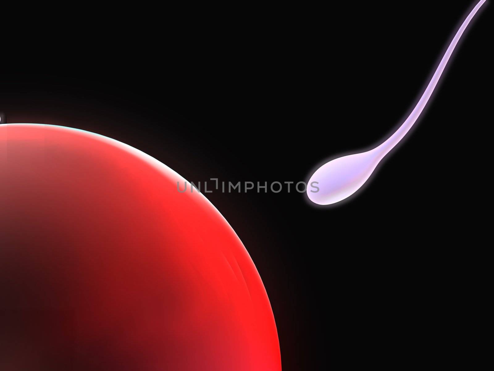 3d rendered close up of a human egg cell and one sperm