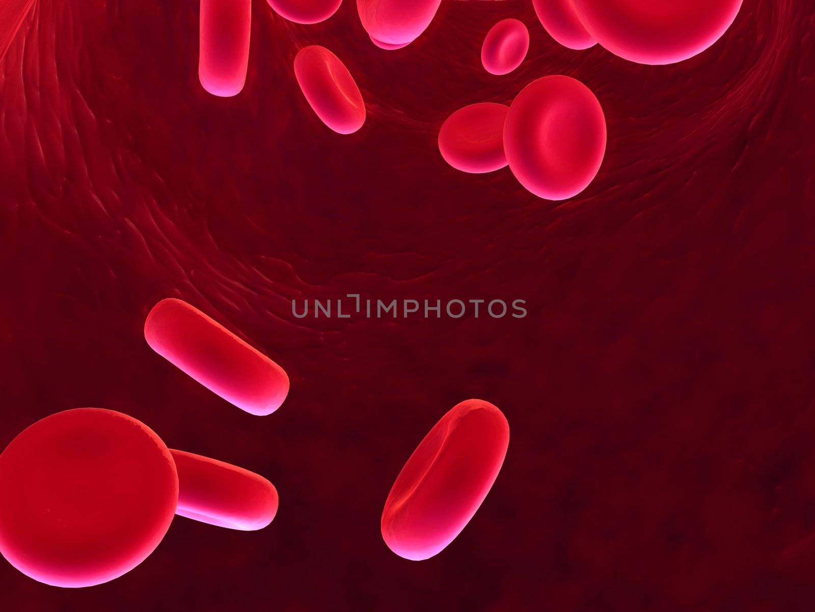 3d rendered close up of some red blood cells