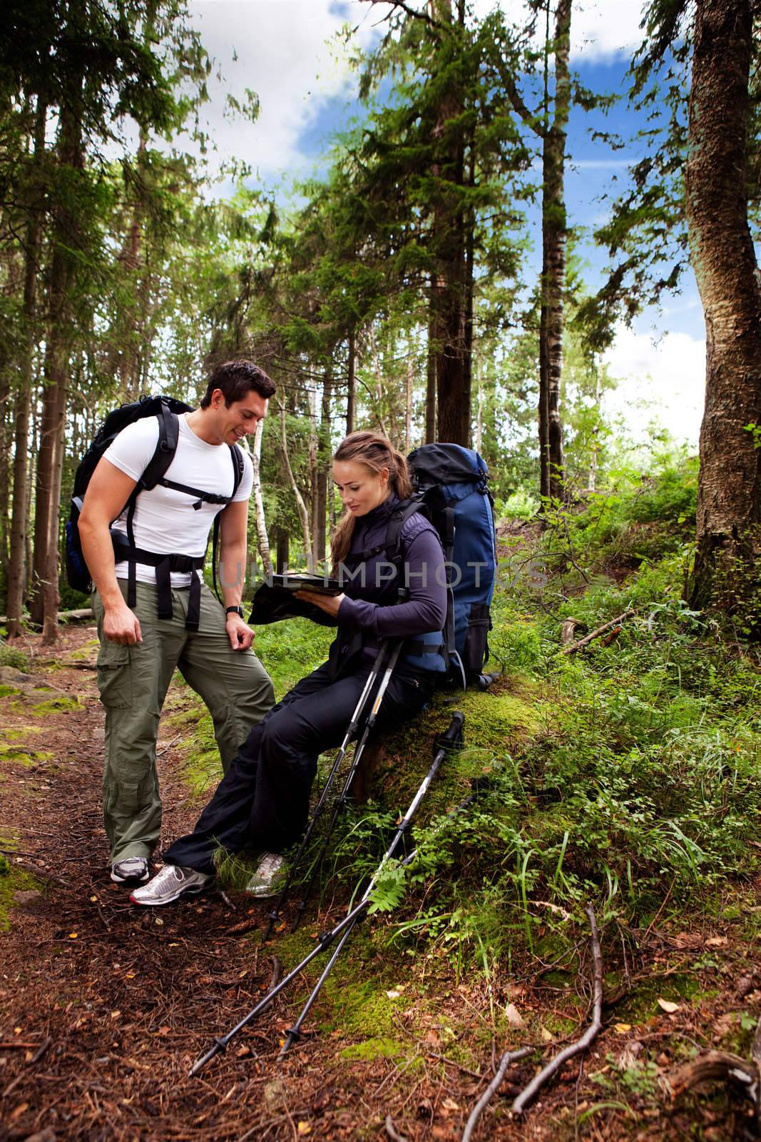 A couple backpack camping in the forest looking at a map