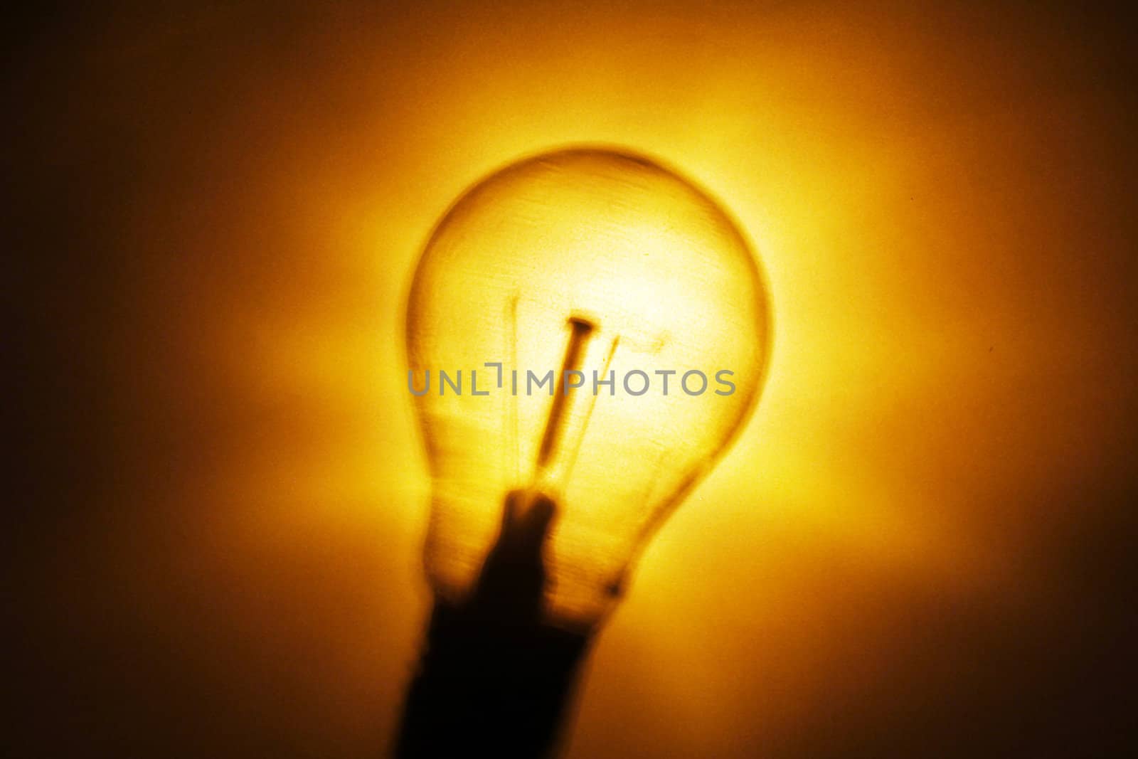 bulb by Hasenonkel