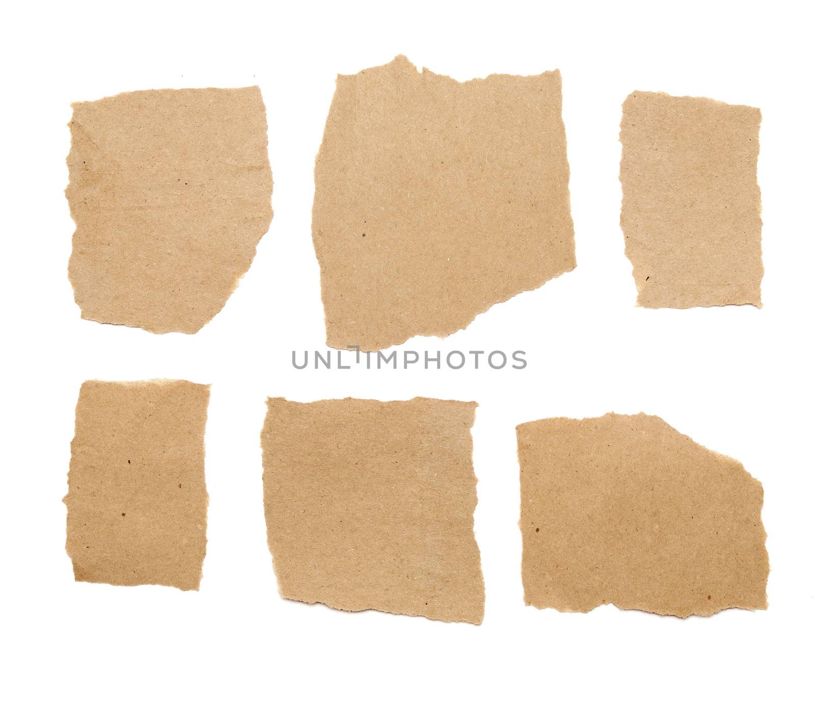 collection of brown ripped pieces of paper on white background