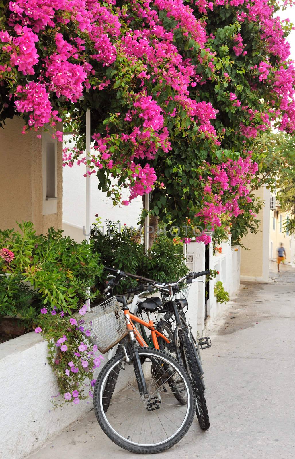 Greek island village alley by akarelias