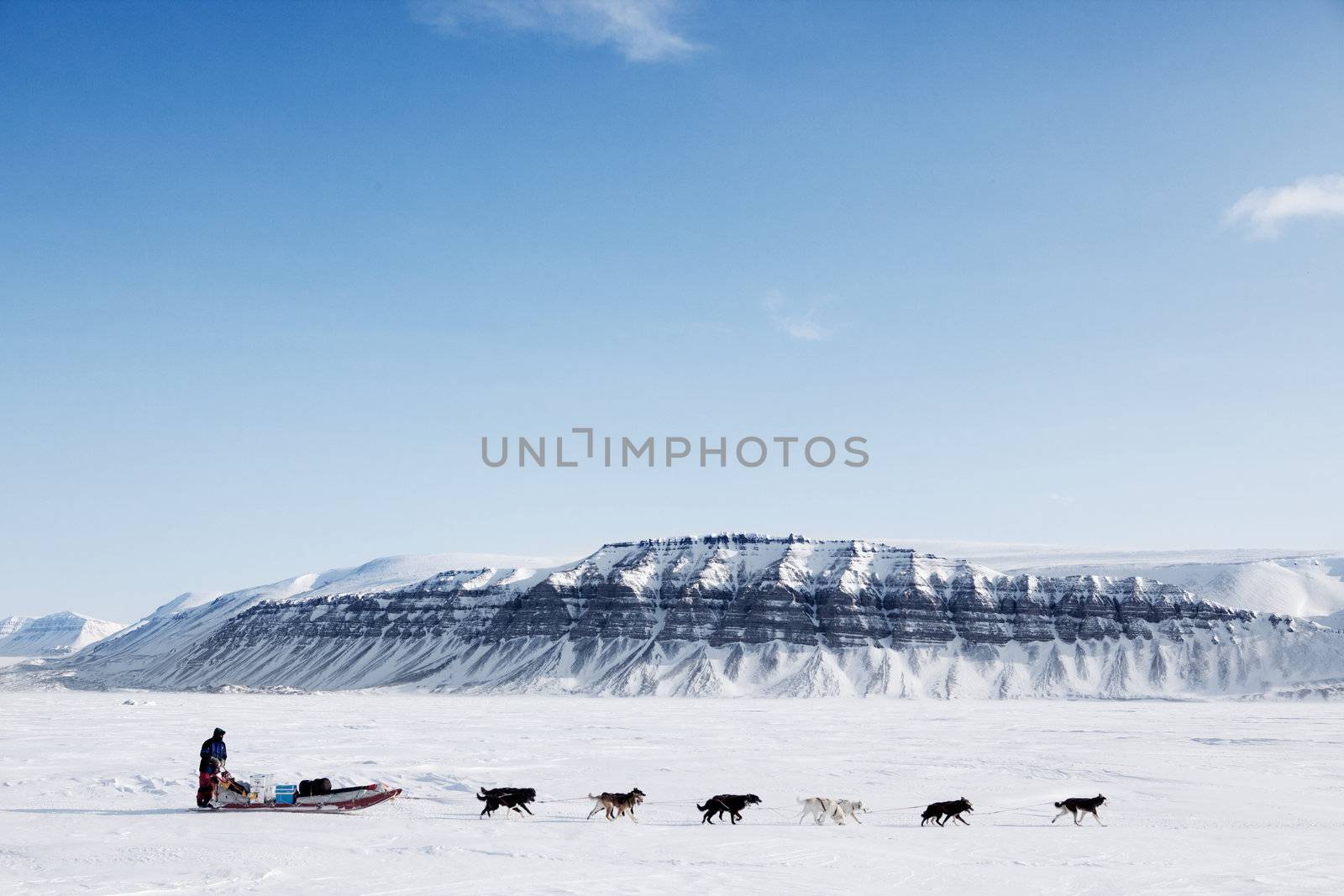 Dog Sled Expedition by leaf