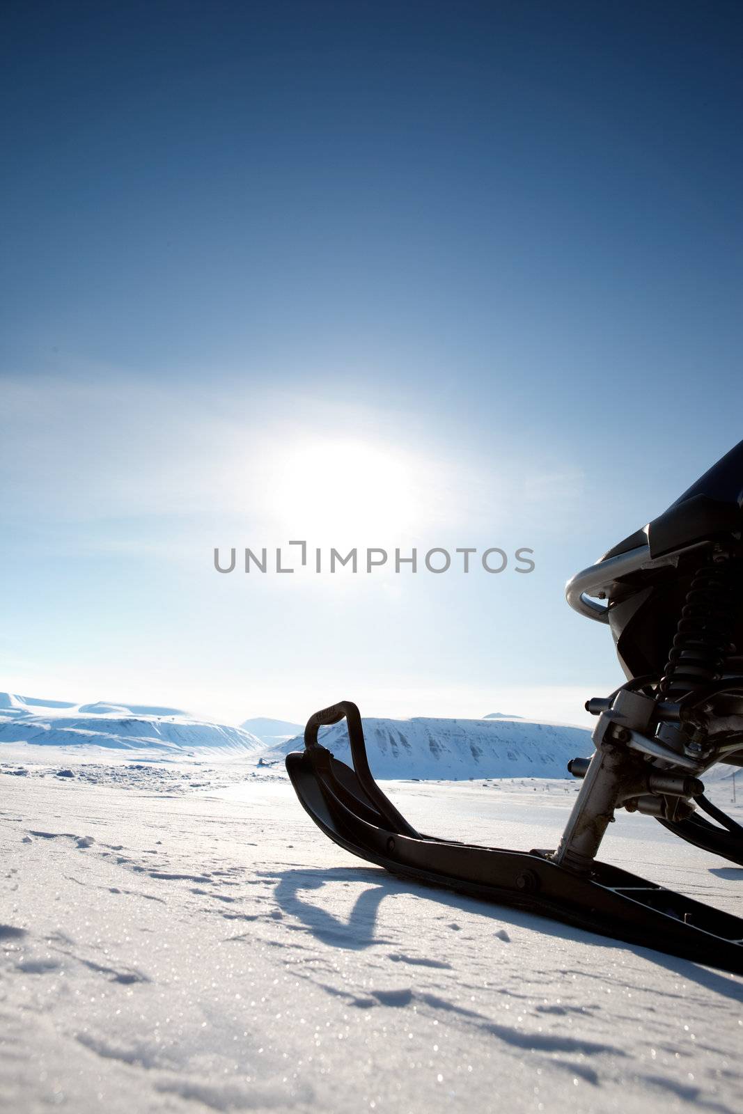 Snowmobile by leaf