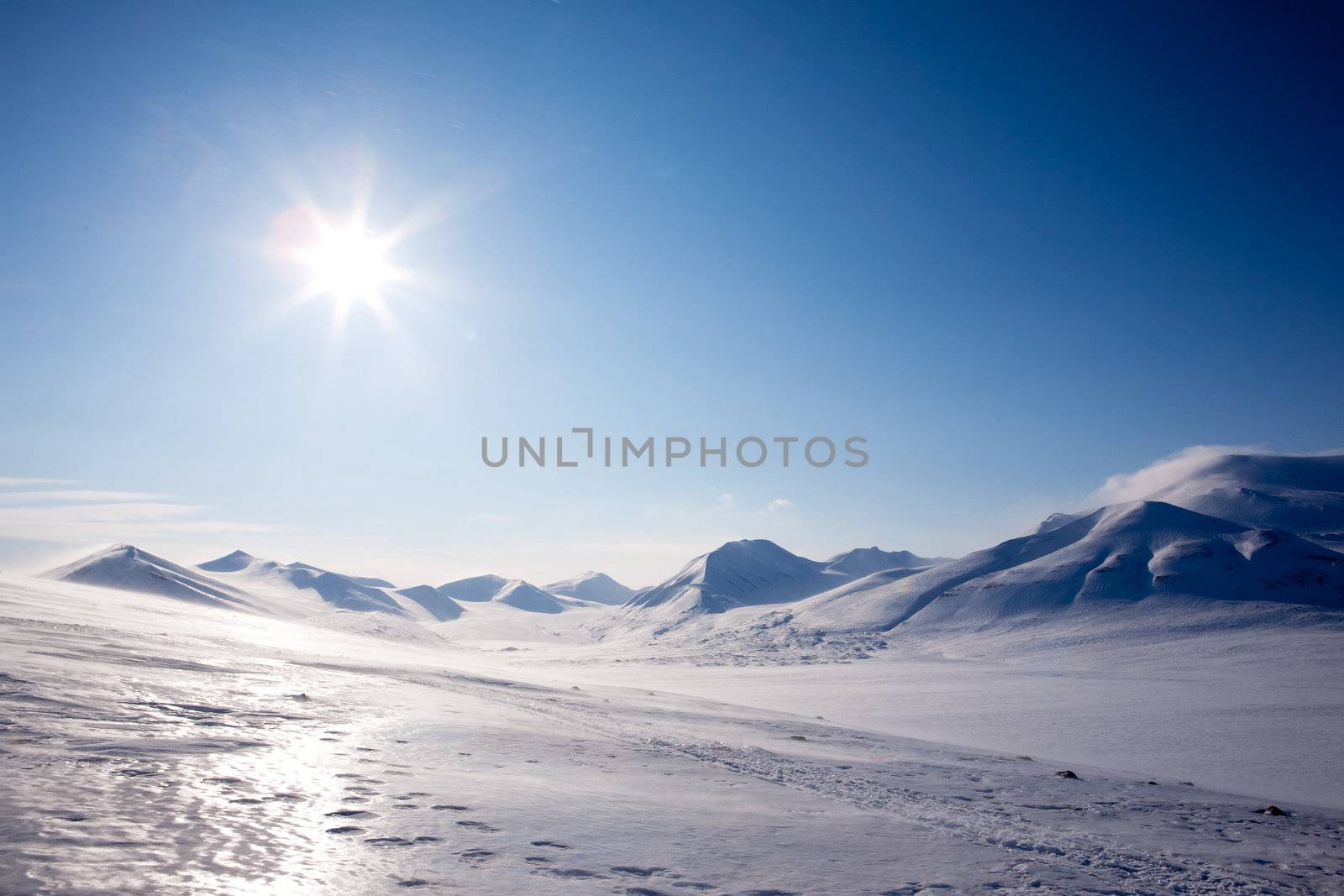 Winter Mountain snow by leaf