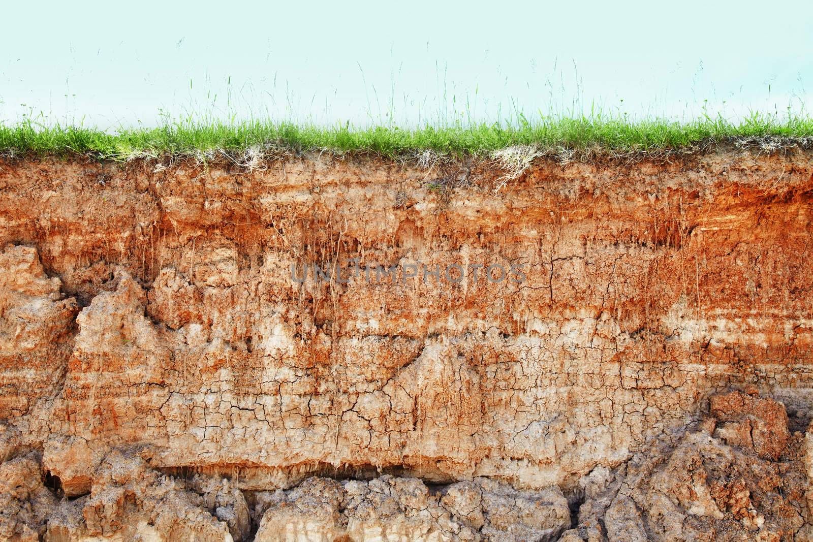 Wall cliff - clay brown soil and grass