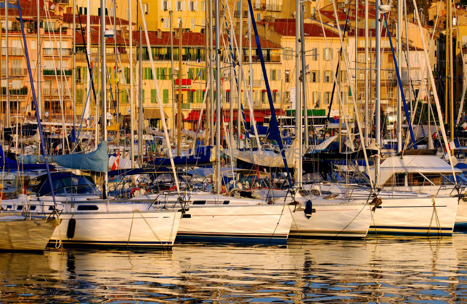 The Vieux Port (old port) in the city of Cannes in the French riviera, as the first rays of the morning sun illuminate the marina and the buildings behind the boats. 