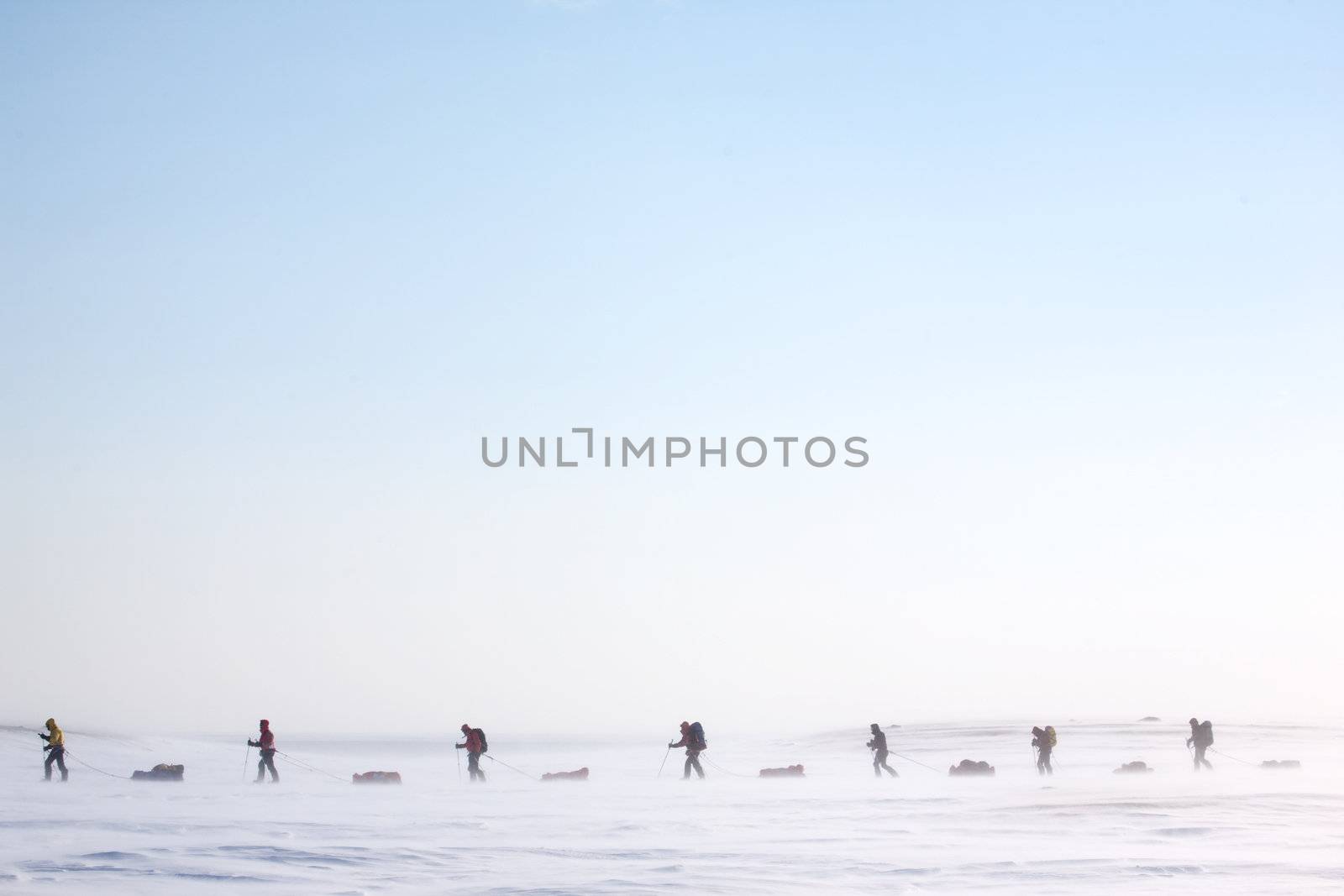 A group of adventurers on a arctic expedition