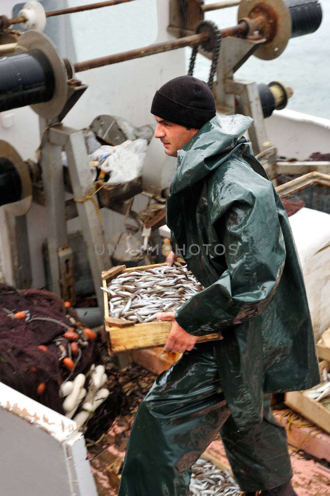 Young fisherman, on board a trawler boat and  under rainy weather, carrying a wooden box full of small fish