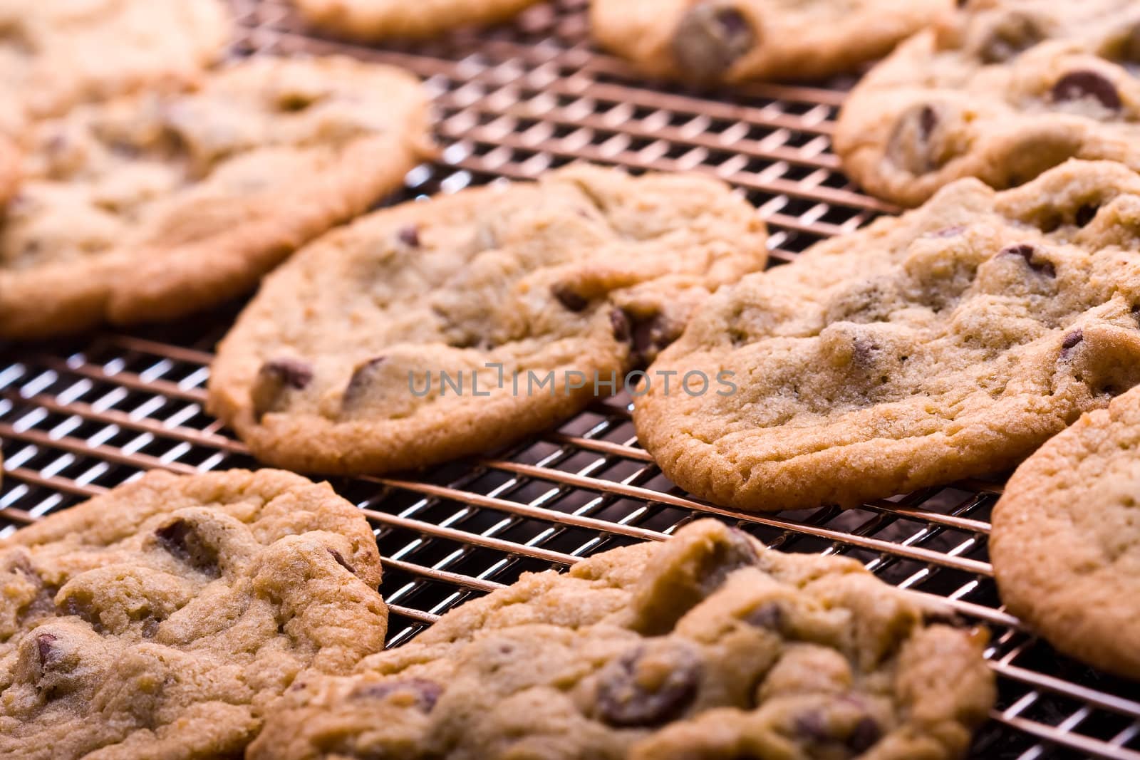 chocolate chip cookies on a cooling rack fresh out of the oven