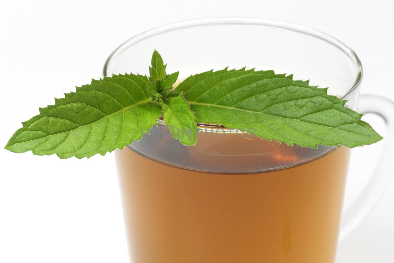 Herbal tea in a teaglass with peppermint leaves on white background