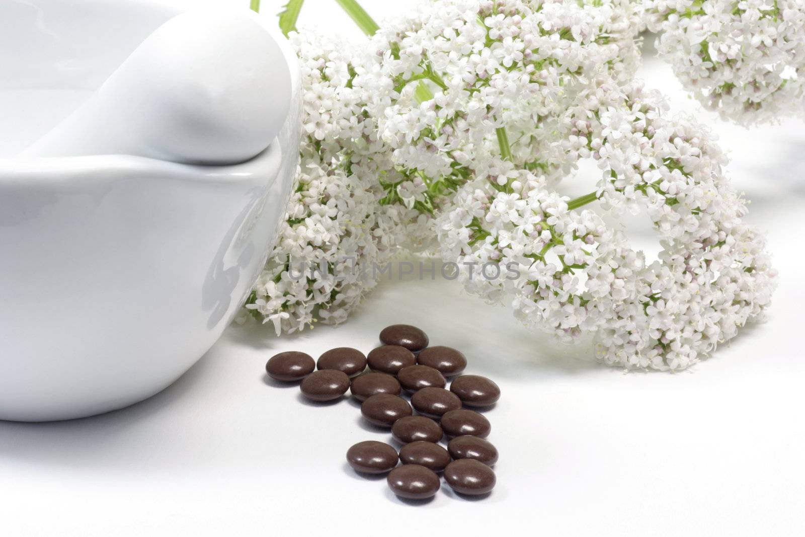 Valerian blossoms with mortar and brown pills over white background