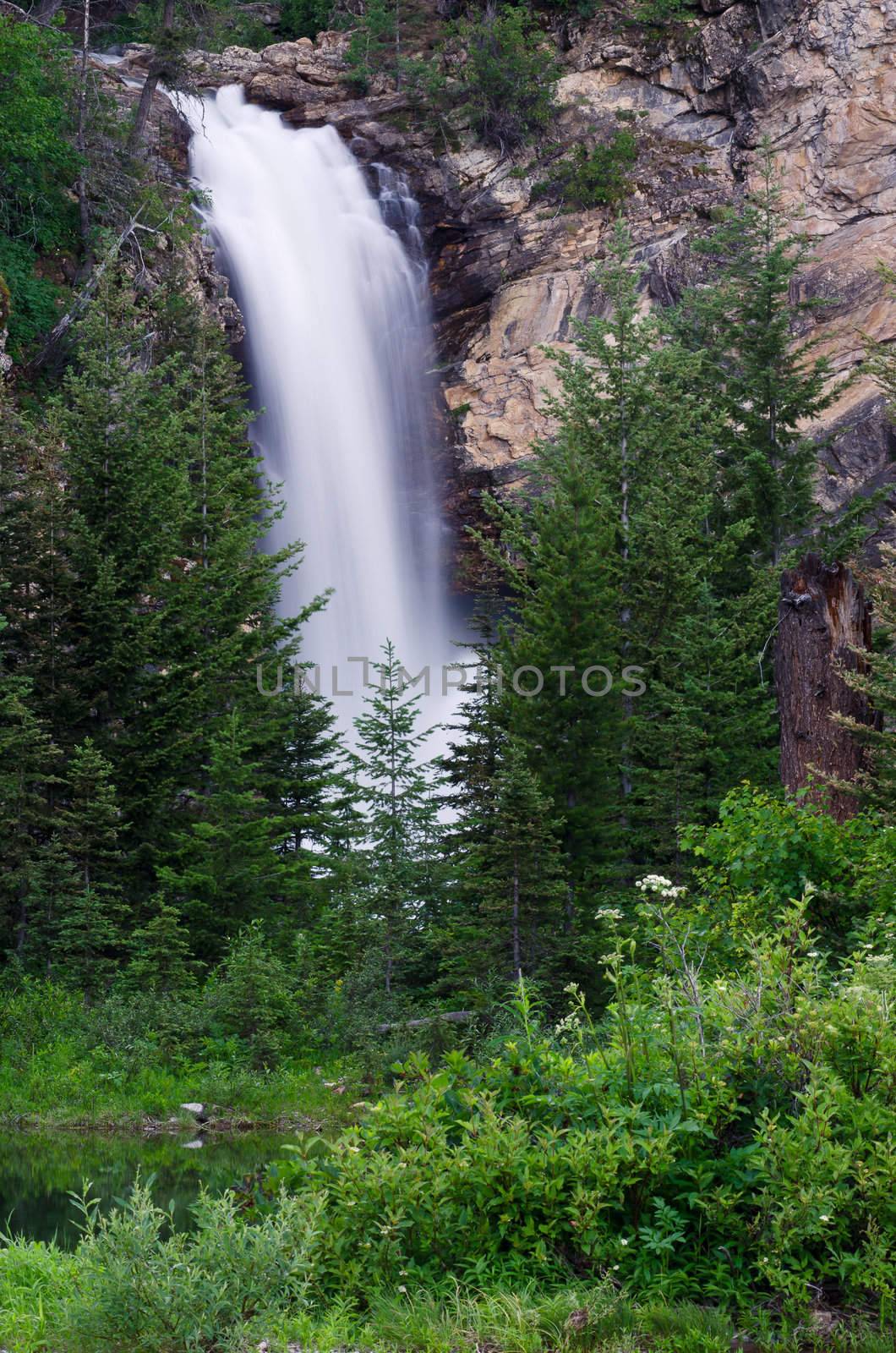 Running Eagle Falls, Glacier National Park, Glacier County, Montana, USA