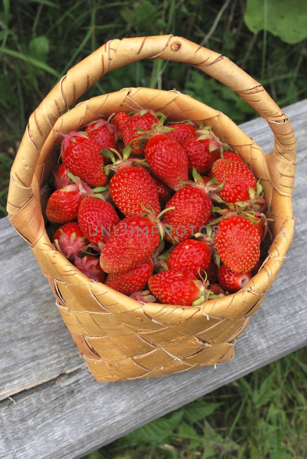 basket of the strawberries by creuser