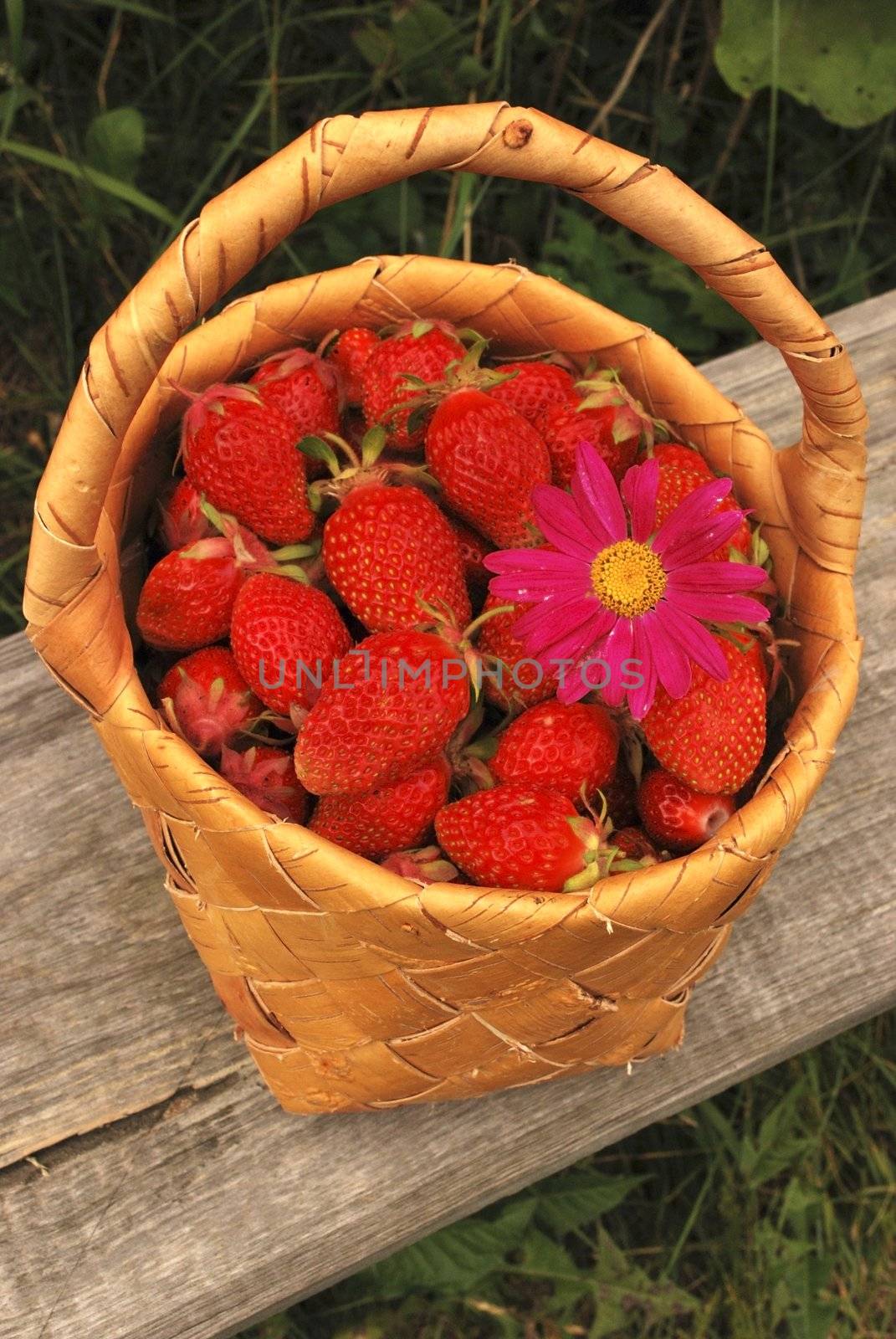 birch bark basket with strawberries and daisy wheel
