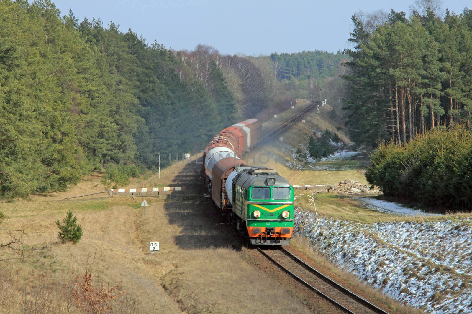 Freight diesel train passing the forest
