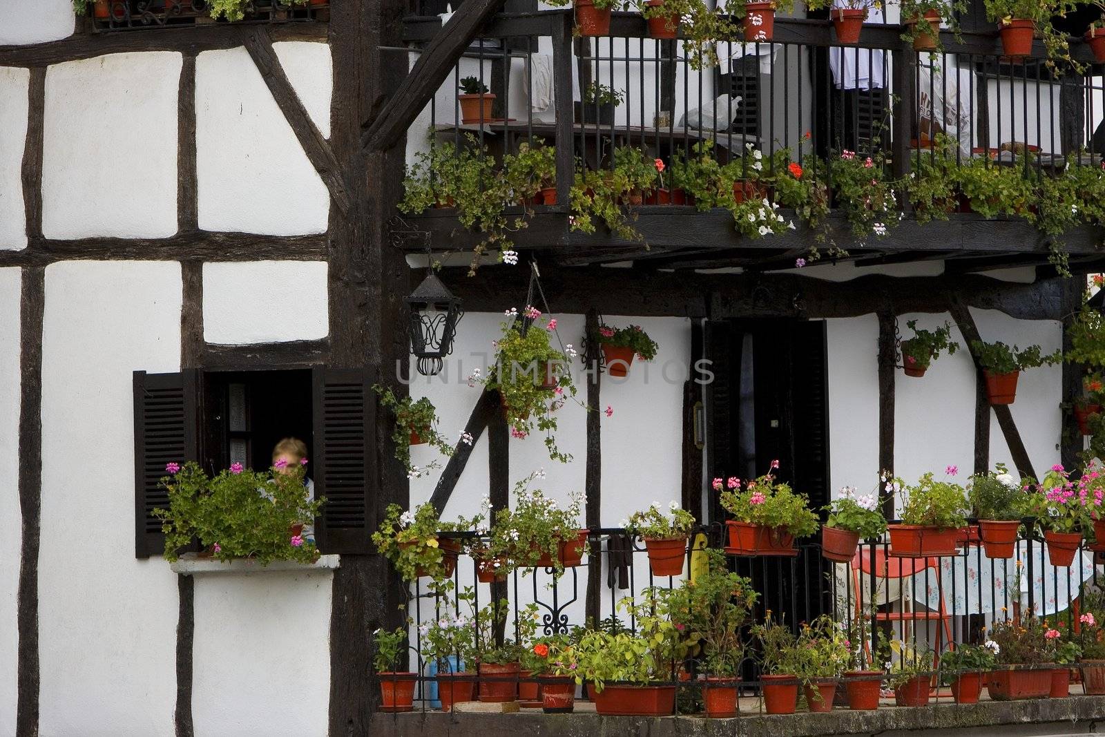 image of a tipical house of the north of spain