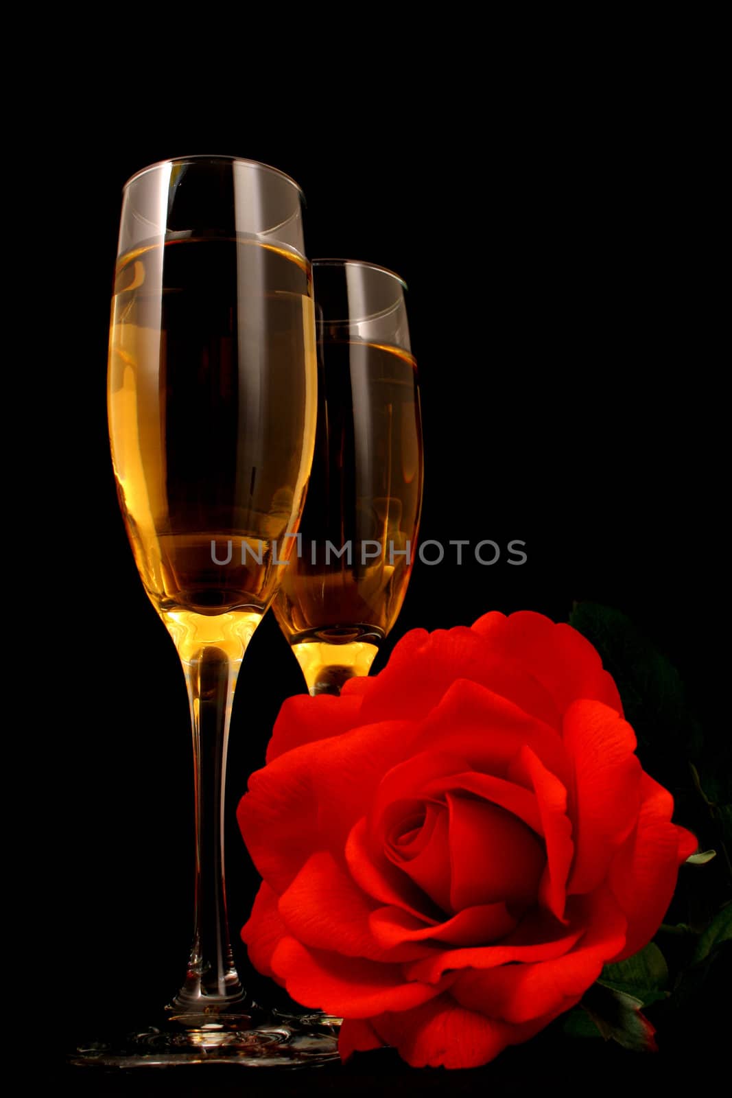 Wine in glasses with a rose all on a black background with mood lighting


