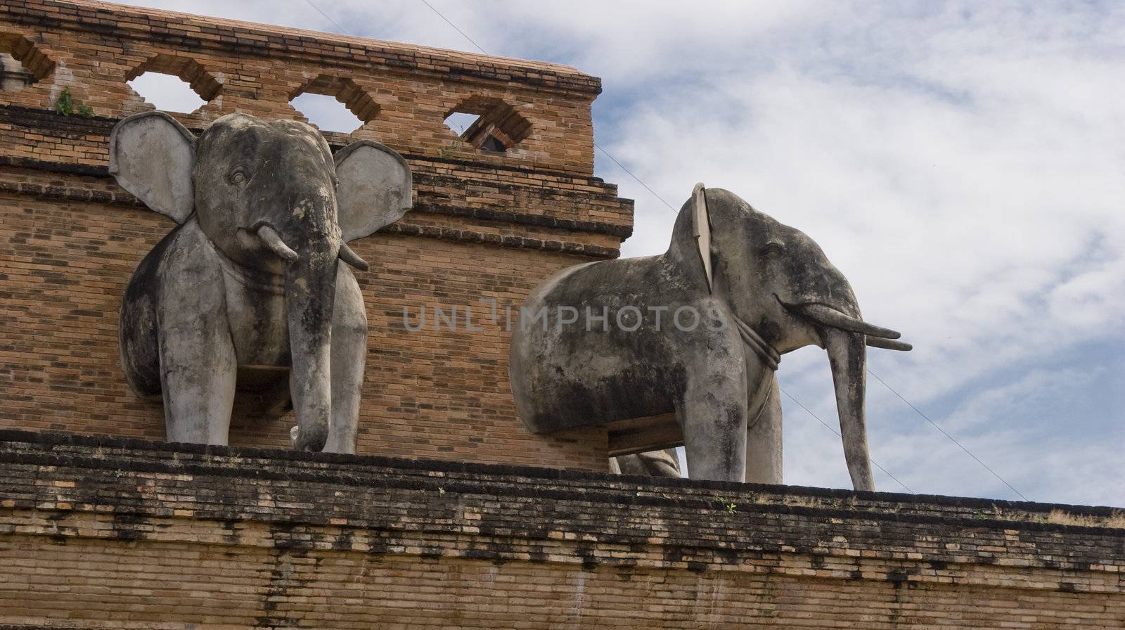 Temple elephants by cvail73