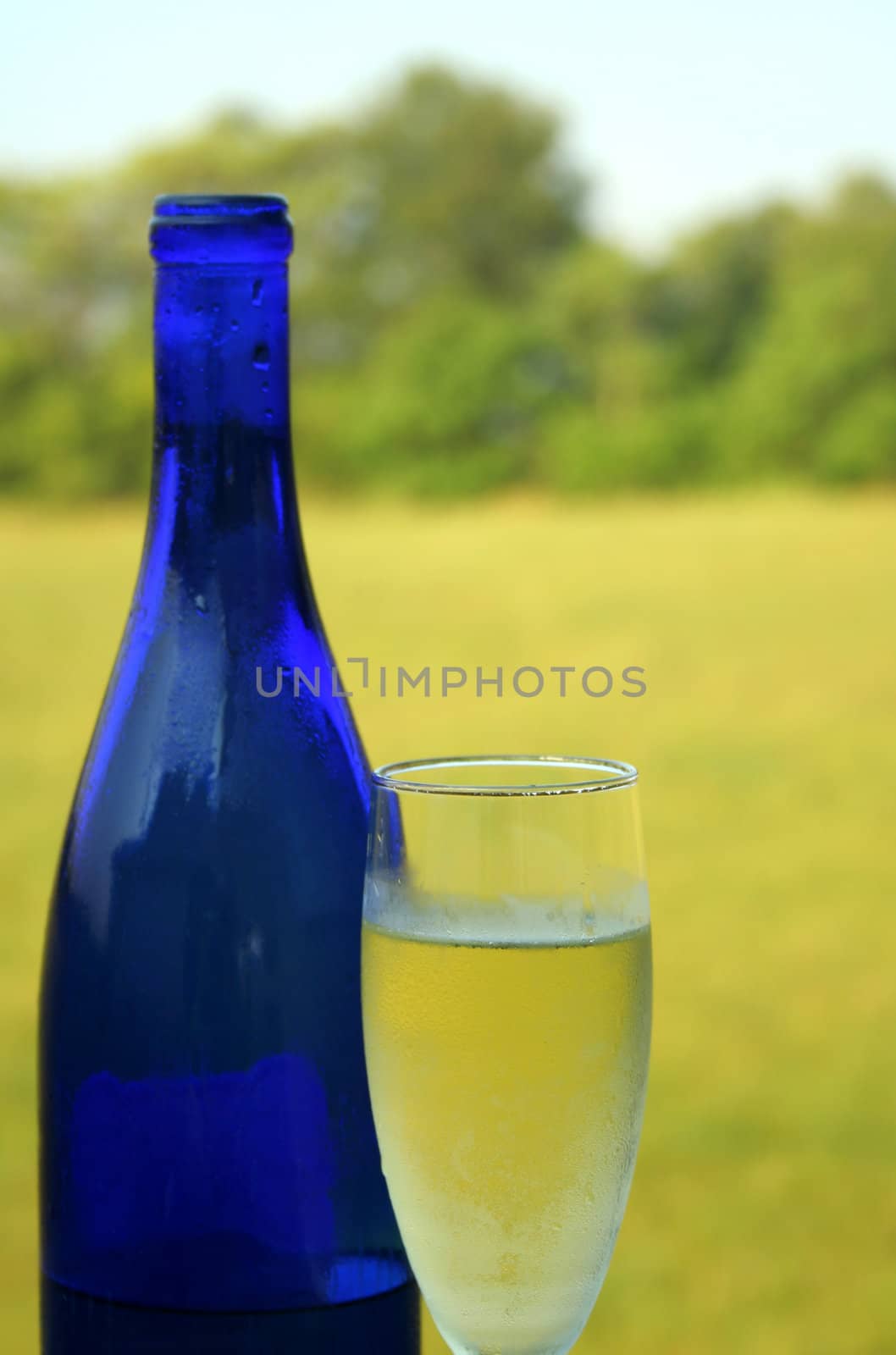 A full glass of white wine outside on a beautiful day.