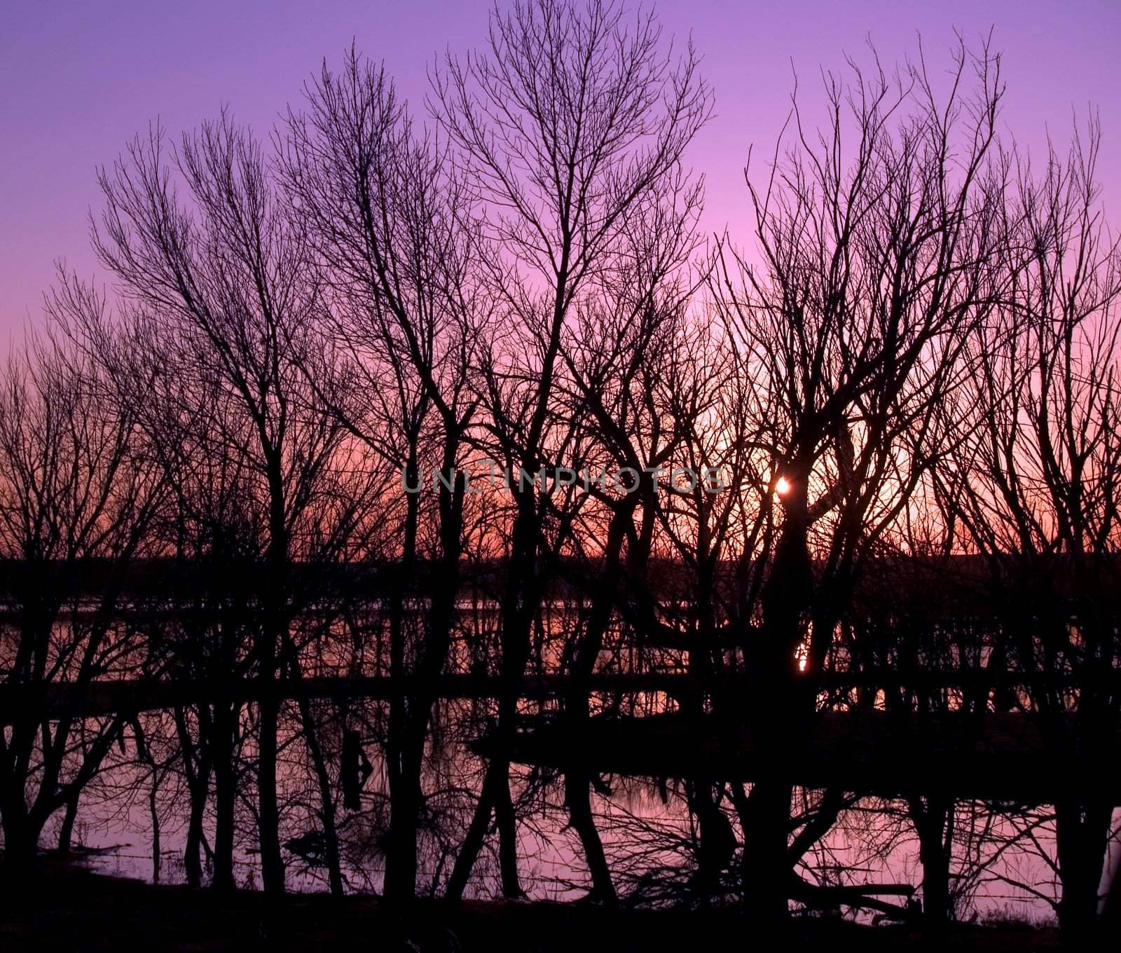 Sunset on the flood of the James river in South Dakota