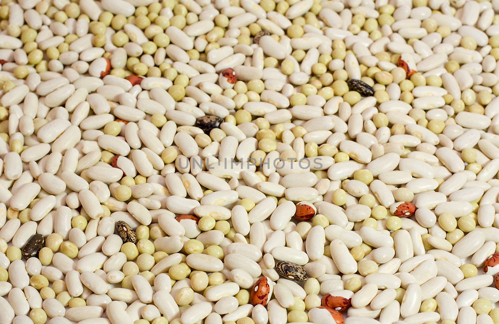 close-up haricot beans