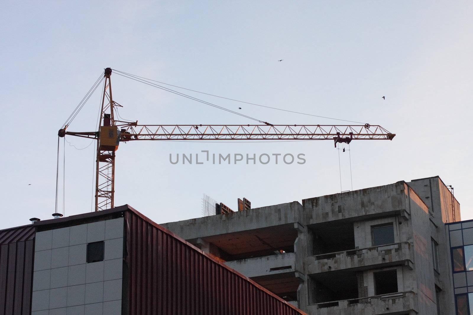 The building crane by fedlog