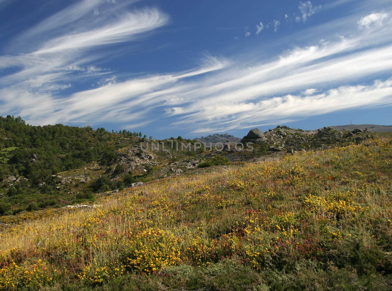 Beautiful wild landscape in Geres Natural Park, Portugal.