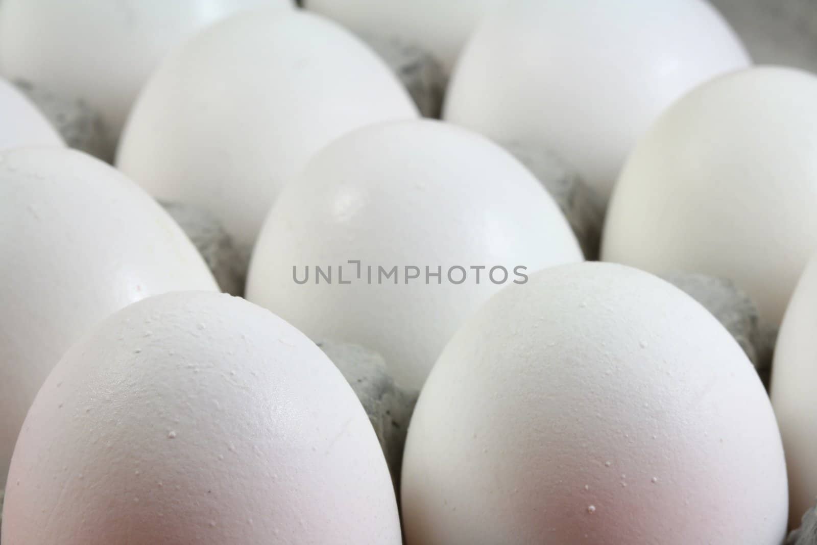 Egg by aremafoto
