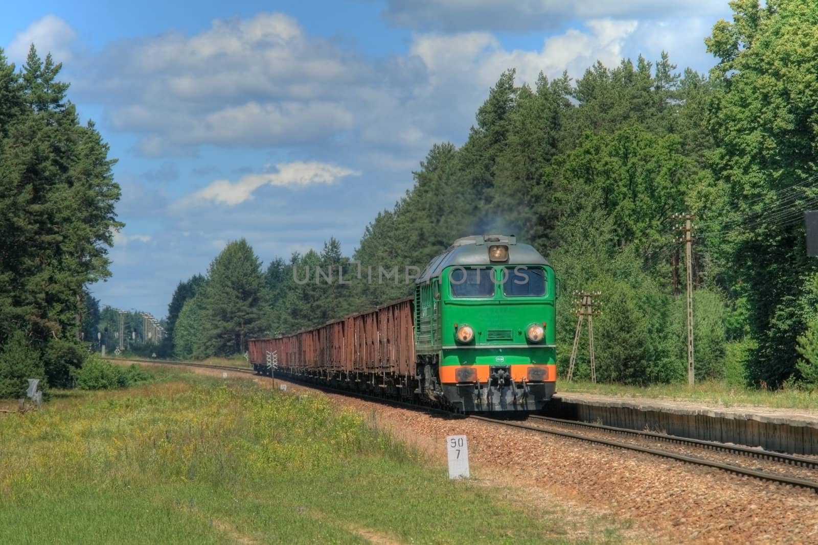 Freight train hauled by the diesel locomotive passing the forest
