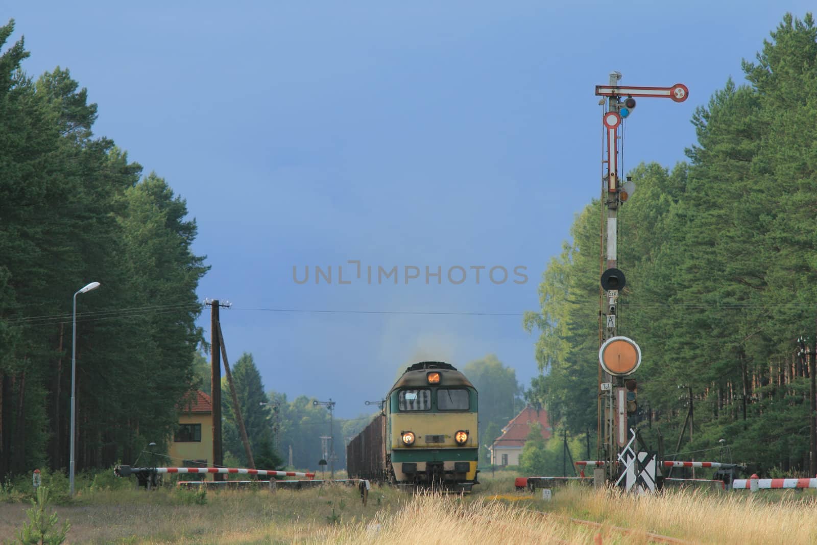 Freight train hauled by diesel locomotive passing the station
