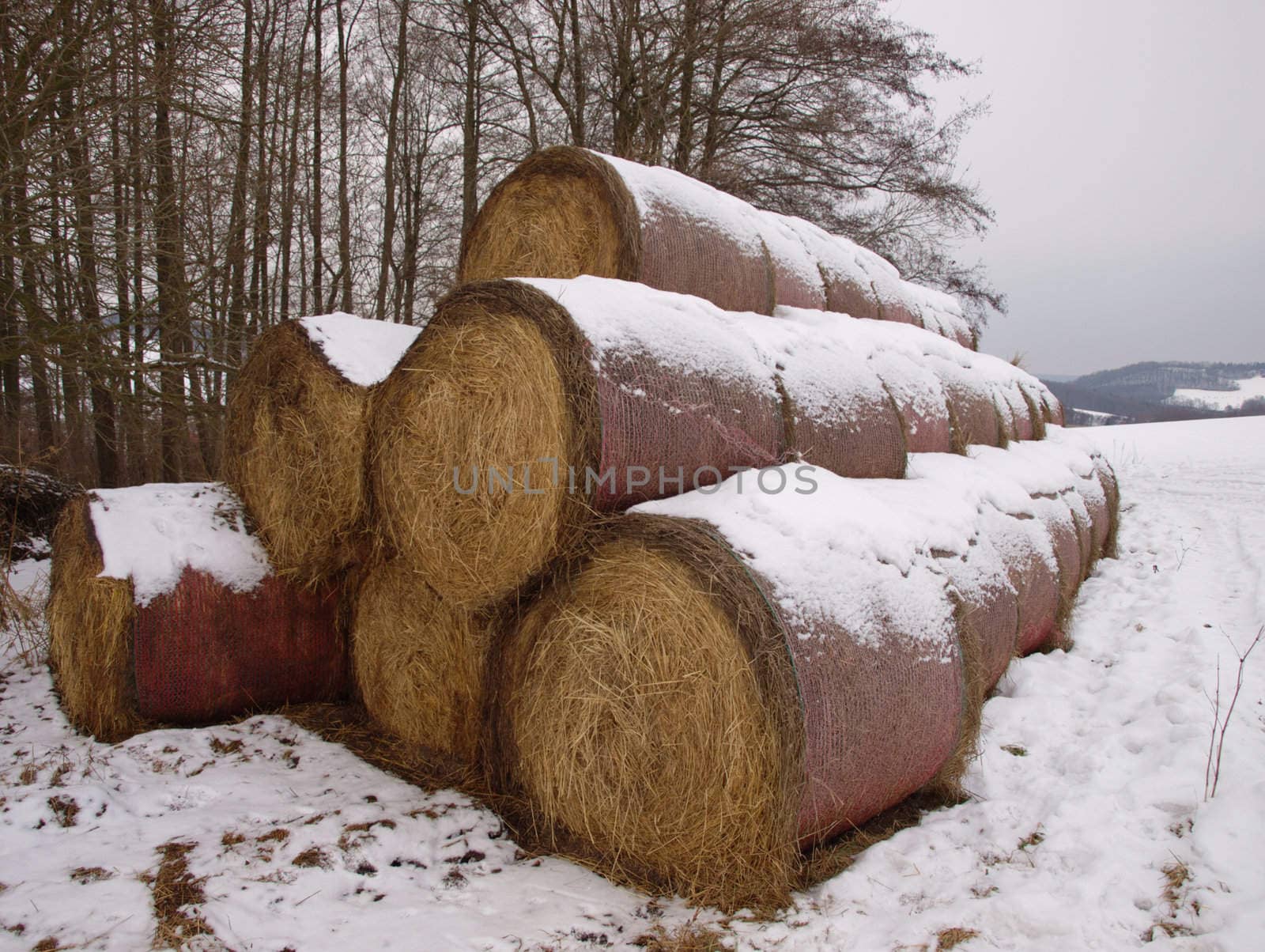 a bale of hay in winter, this is reserve till the spring is starting