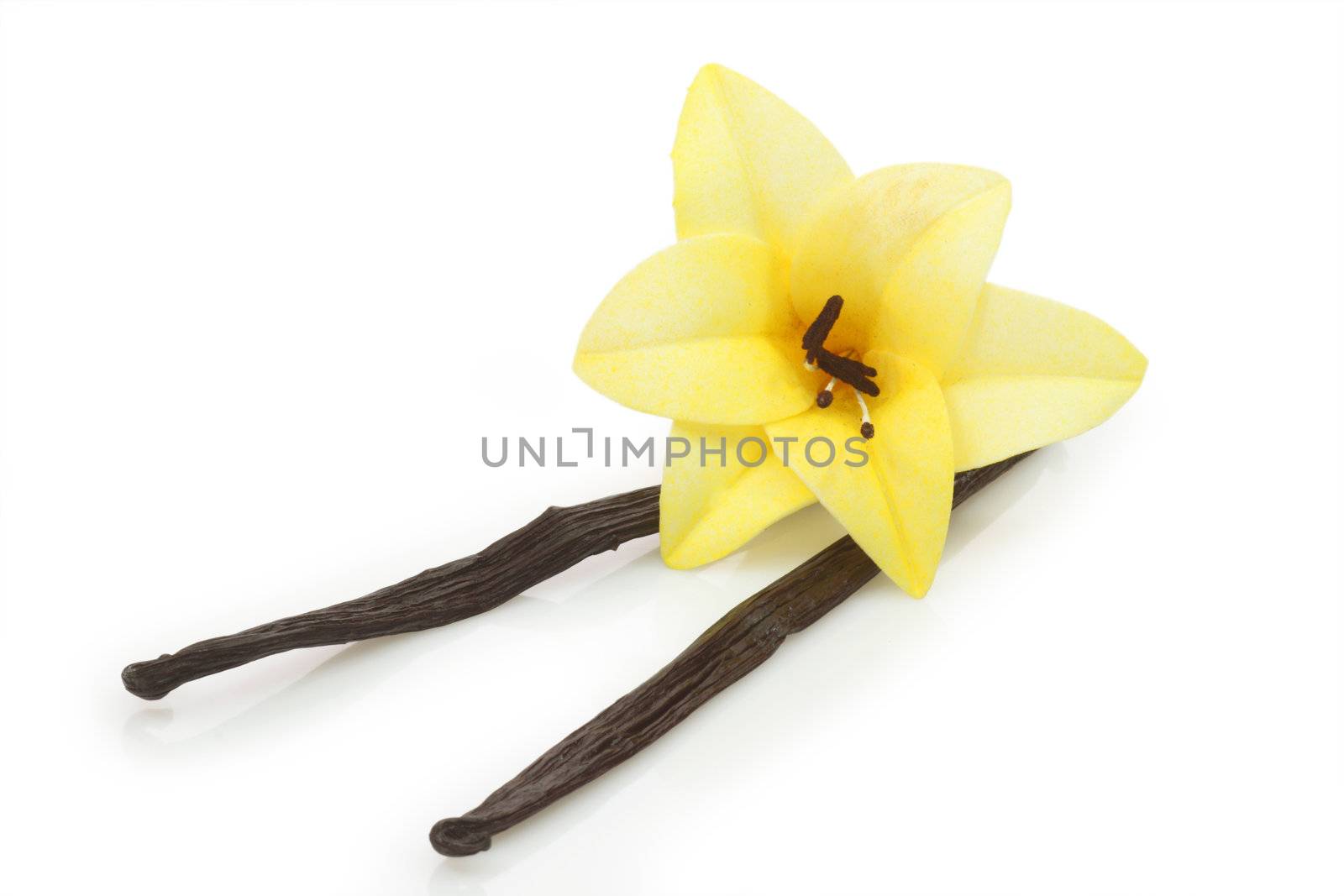Well dried vanilla beans on white background