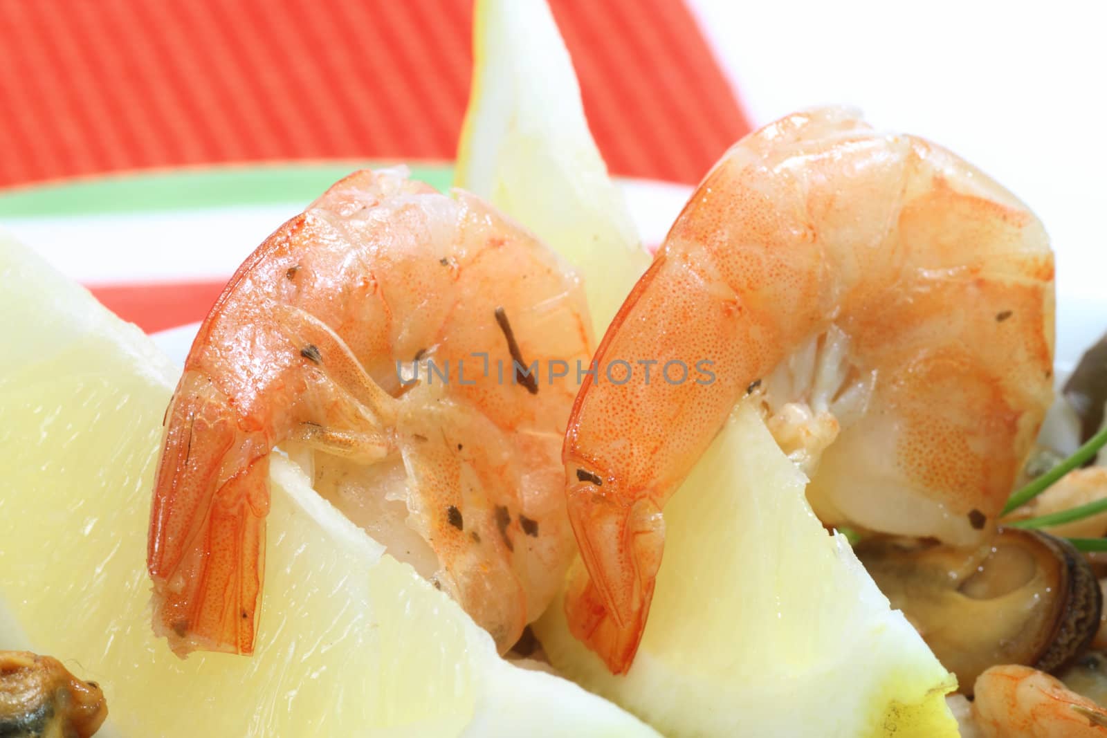 Fresh delicious seafood salad in detail