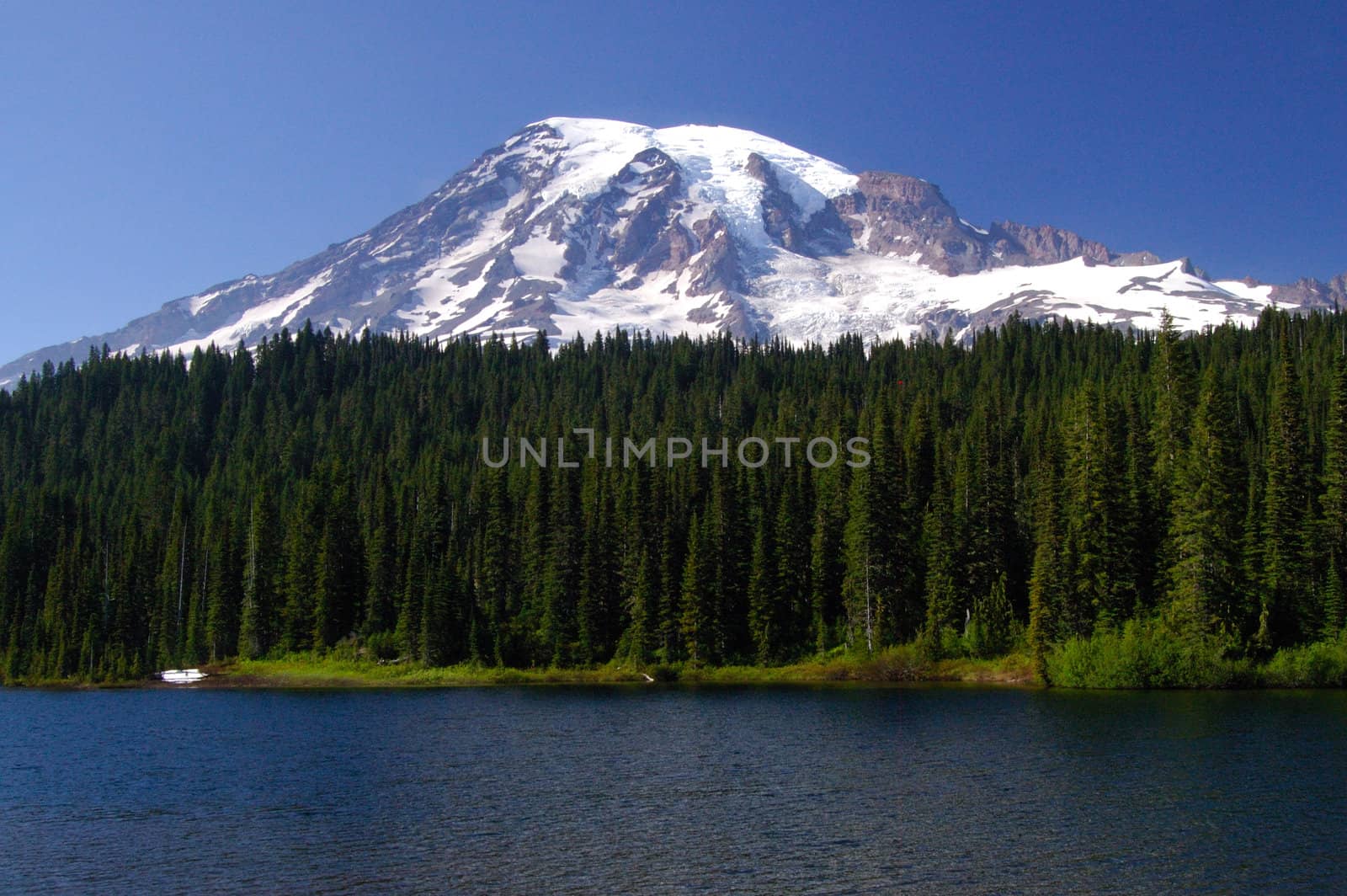 Mount Rainier Portrait by neelsky