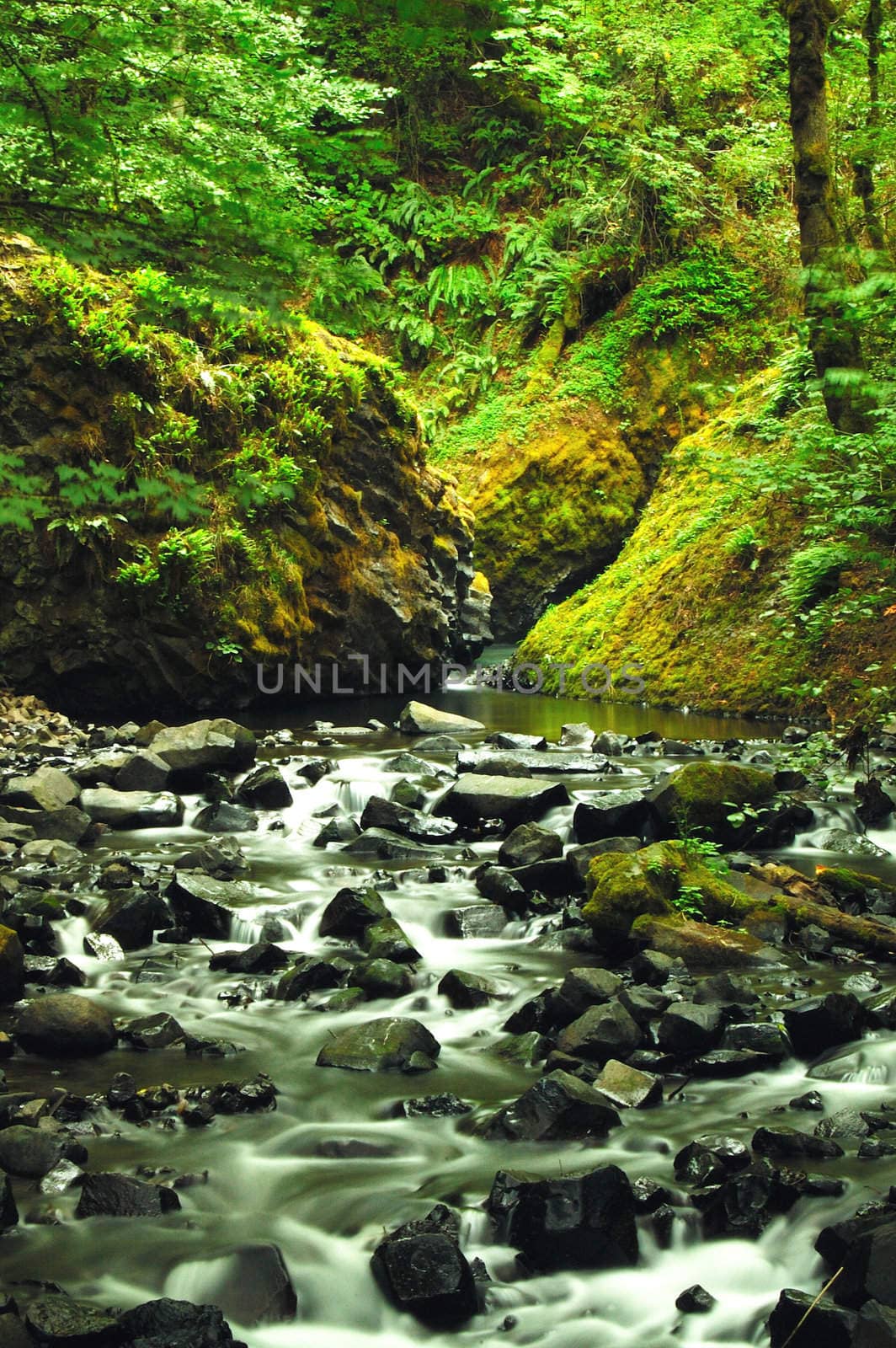 The vibrant colors of nature and the silky smooth flow of a stream 