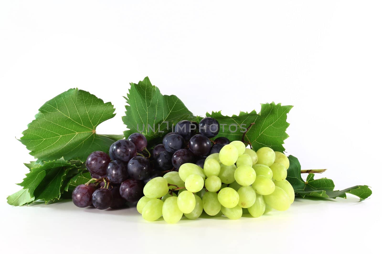 grapes by silencefoto