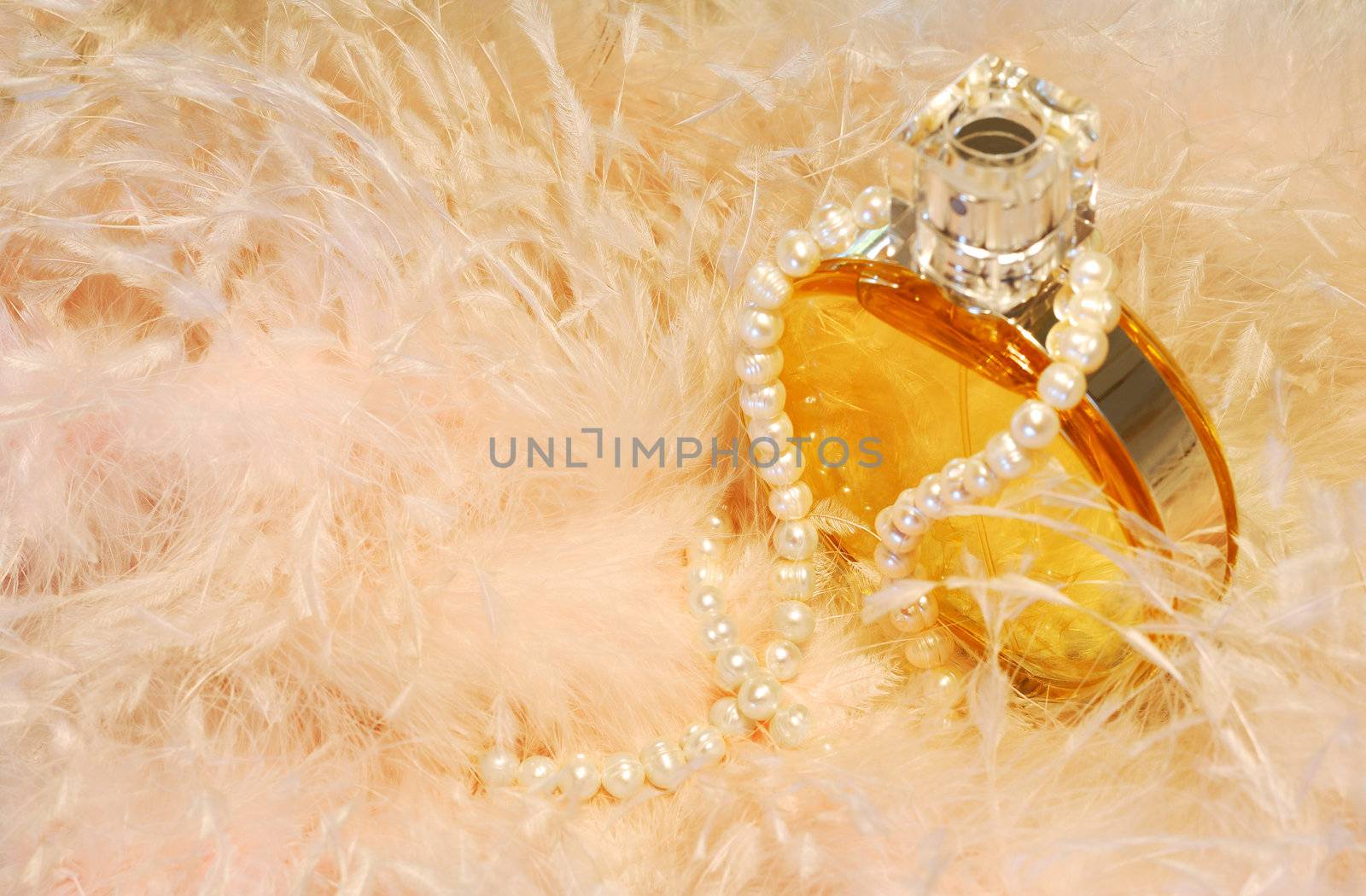 Feathers, necklace and perfume by akarelias