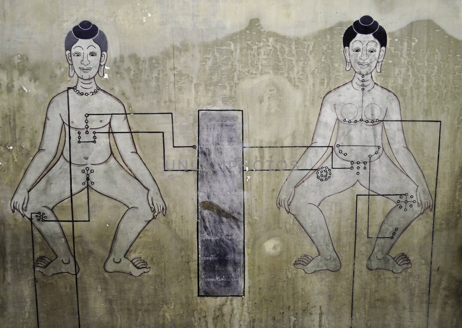 A painting in an old Thai Buddhist temple showing male and female anatomy