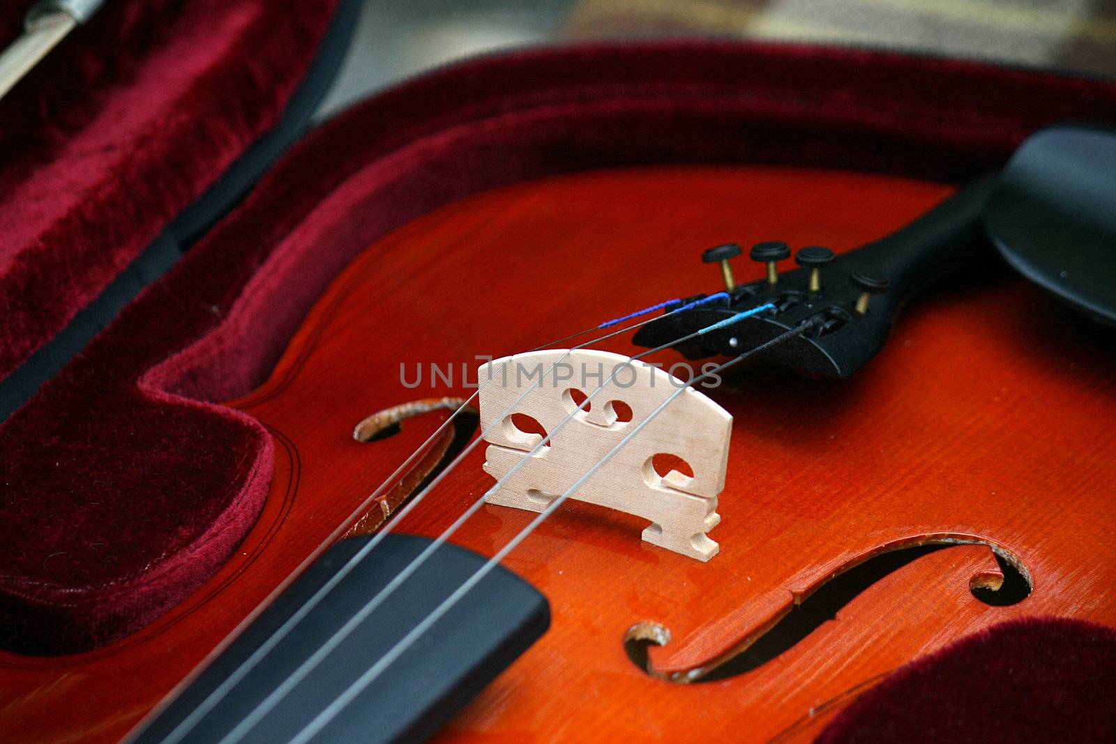 Violin in the case