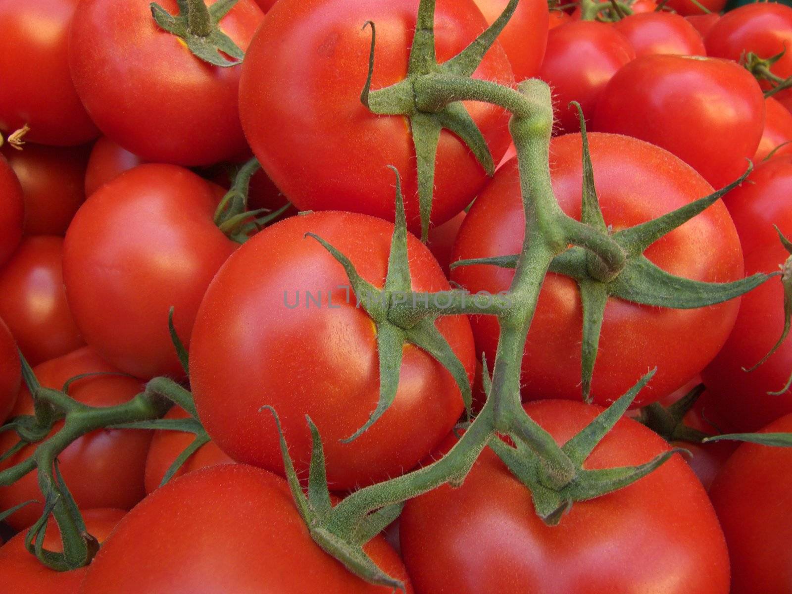 an image showing some tomatoes at the market