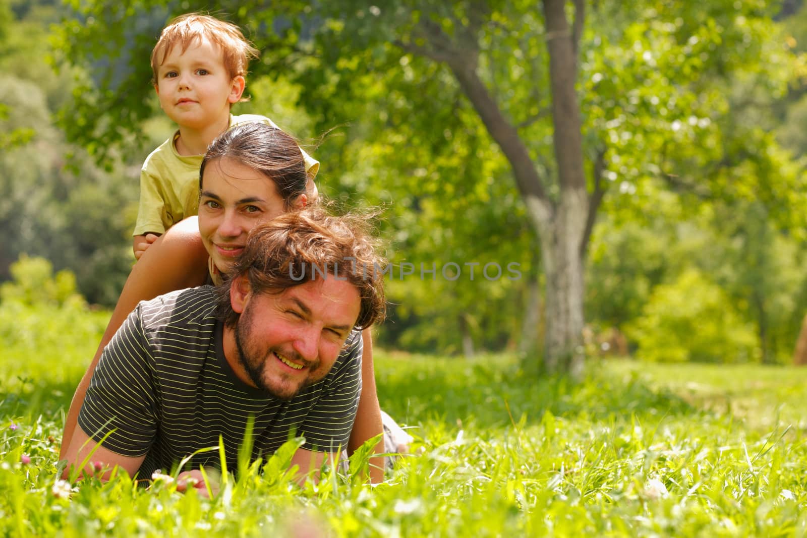 Photo of a family enjoying a summer day on a green meadow