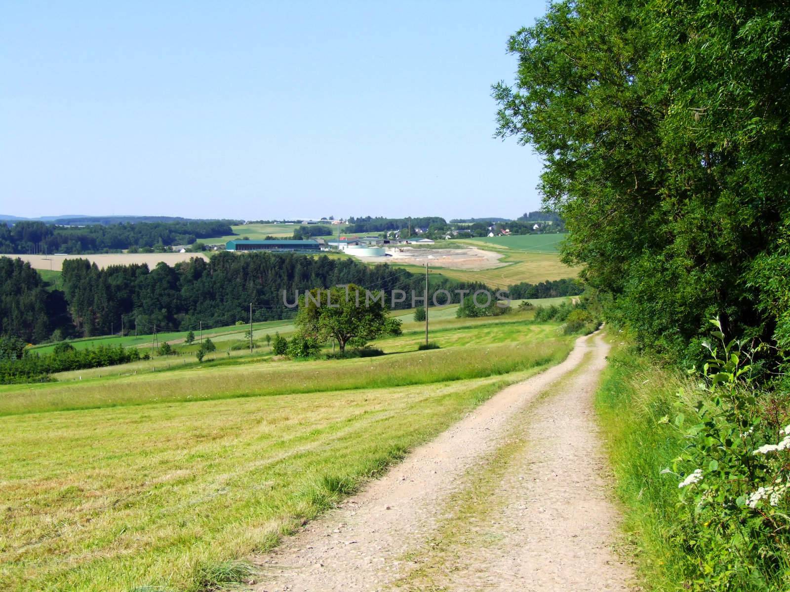 Feldweg im Hunsrück
