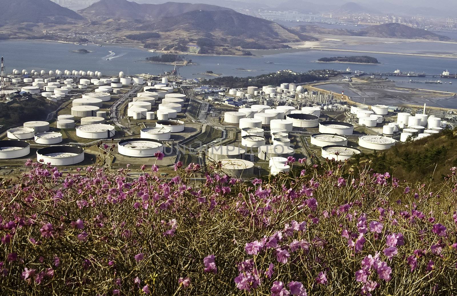 A large chemical manufacturing plant near the ocean and nature