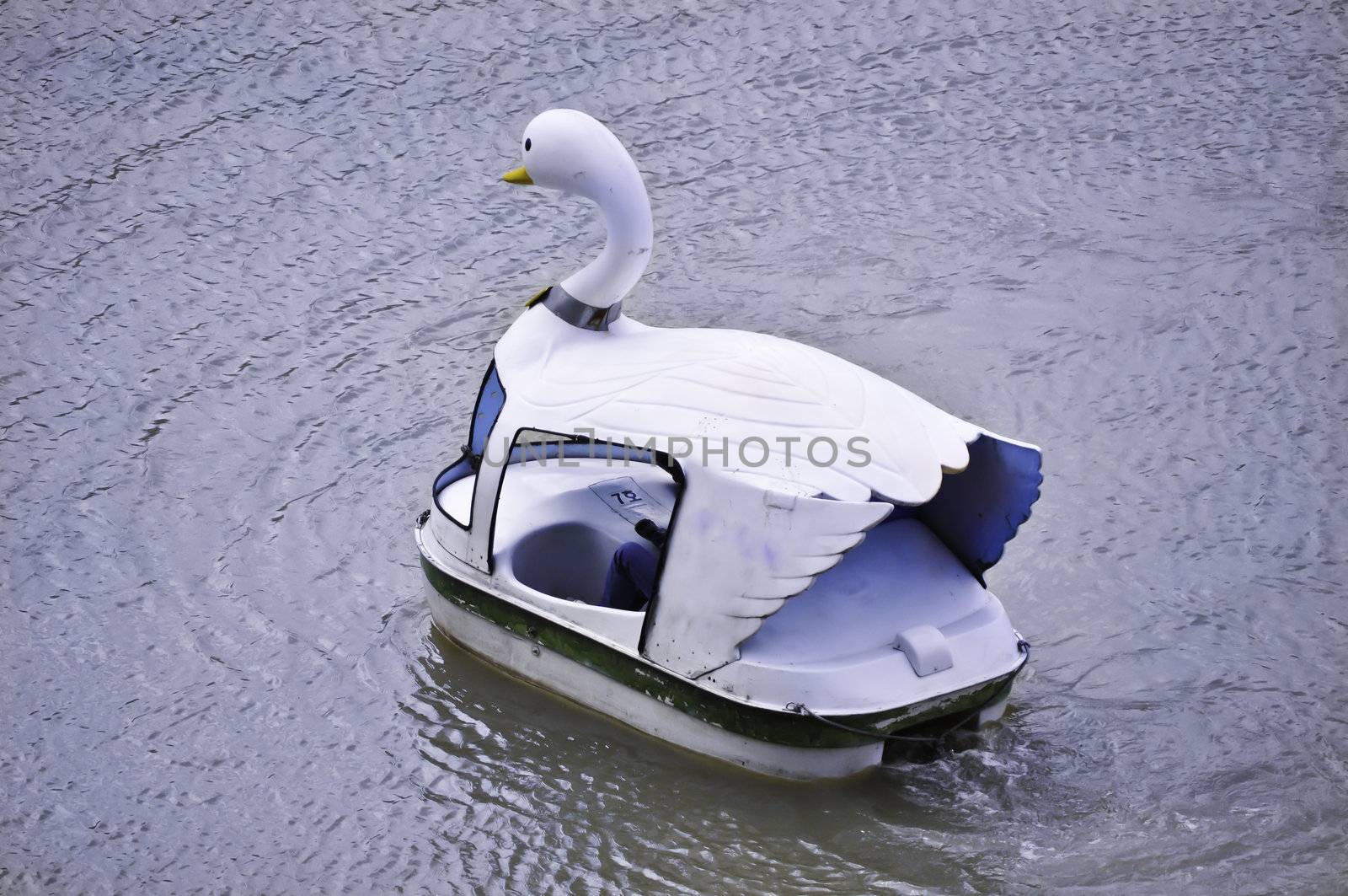 A swan boat on a lake paddling around