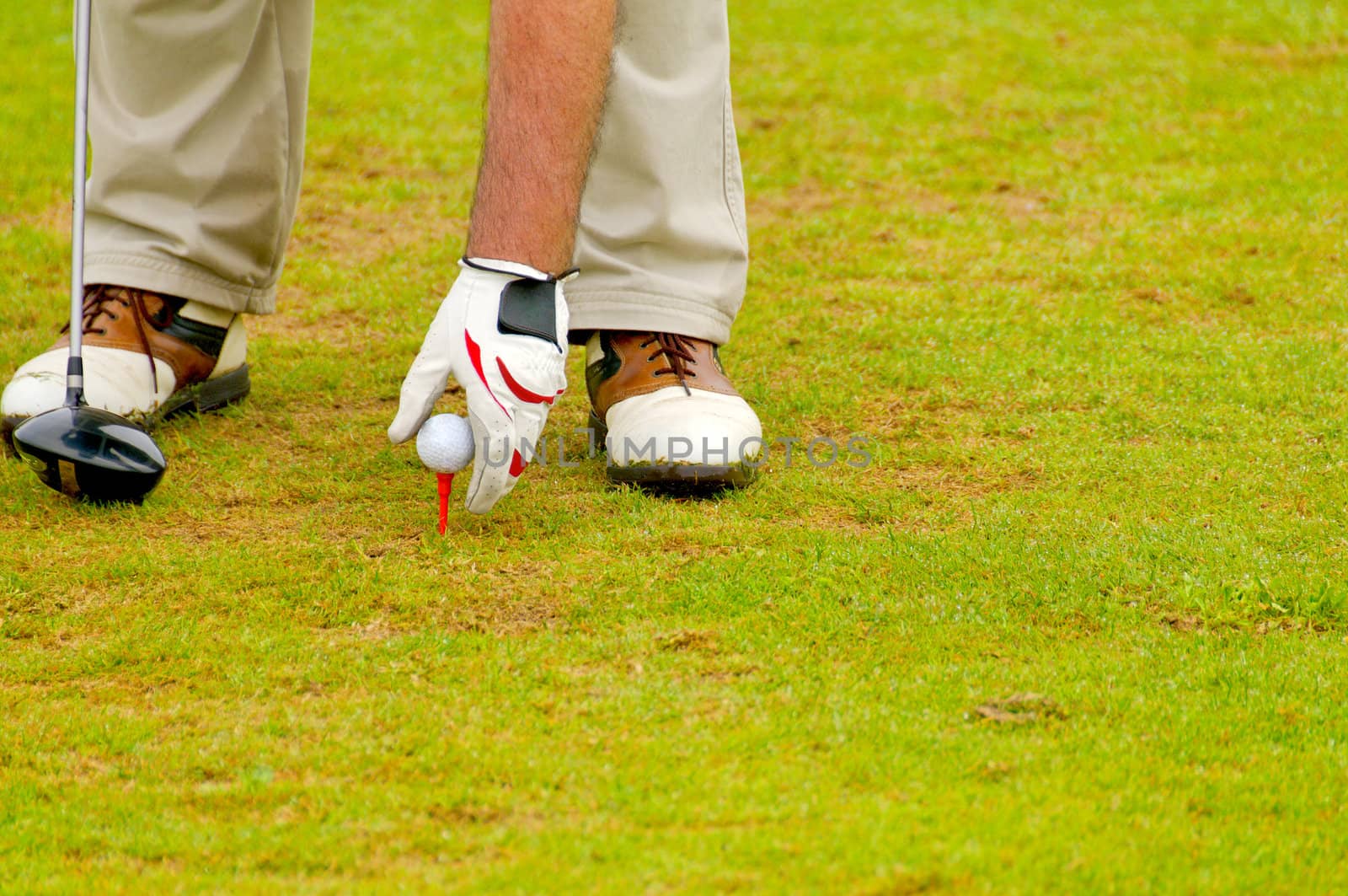 a senior put his golf ball on tee